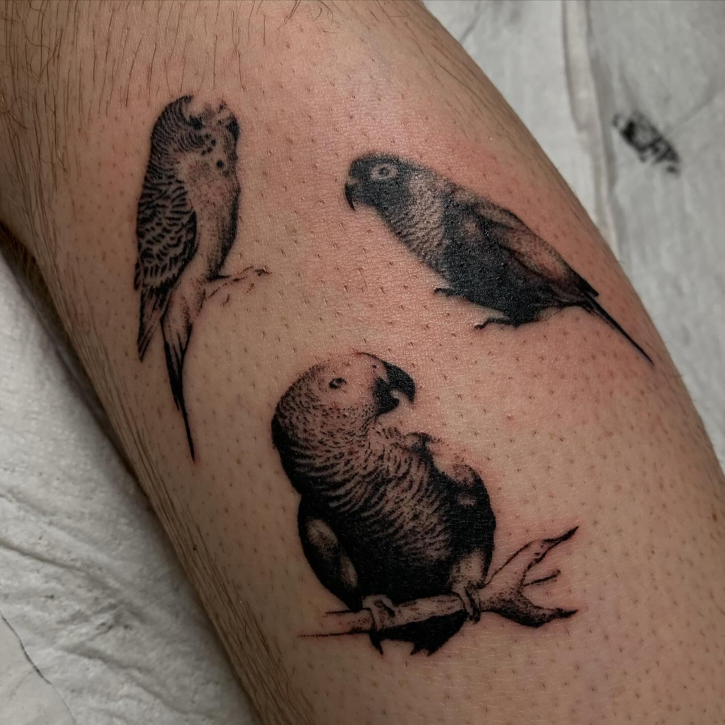 Artistically Crafted Memorial Tattoo Design of Bailey by PawTattoo Experts